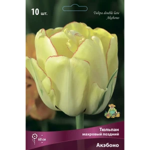 Тюльпан махровый поздний Акэбоно, 10 шт