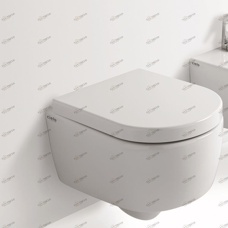 SMVSR Подвесной унитаз настенный Белый Ceramica Cielo SMILE Италия