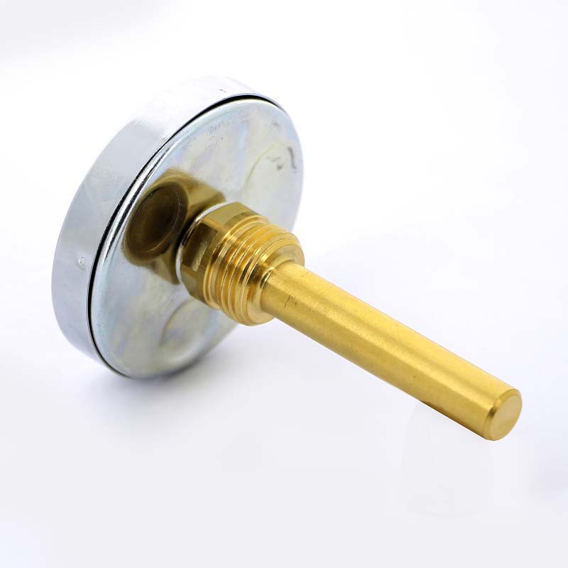 Термометр биметаллический F+R801 80мм с погружной гильзой WATTS Ind 160 град.C гильза 75мм 10005945 - Вид №2