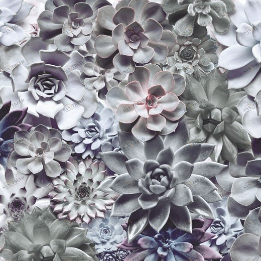 8-962-Shades Фотообои Komar Imagine Edition 2 254х368 м 8962SHADES