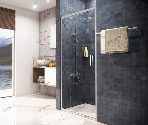 Berkel 48P05 Душевая дверь Santreyd 