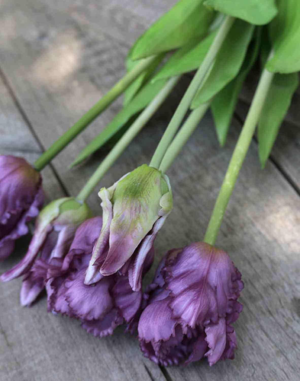2951 208 a3 Искусственный тюльпан попугай, 5 цветов, 47см, фиолетово-зеленый H-andreas  - Вид №2