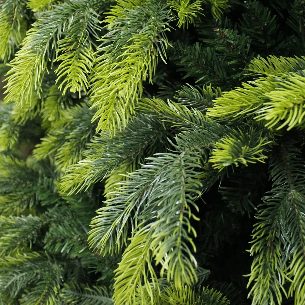 82371934 Ель новогодняя искусственная Орион 210 см STLM-1442680 BEATREES  - Вид №2