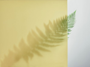 Трехмерное украшение полупрозрачный ламинат