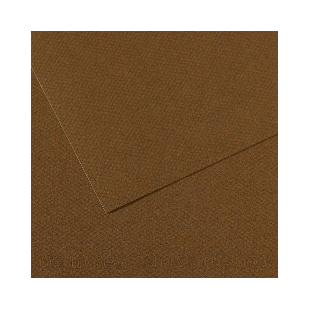 200331484 Бумага для пастели Mi-Teintes 160 г/м2 50 х 65 см лист №501 каштановый Canson 