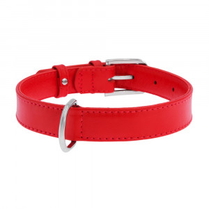 ПР0047201 Ошейник для собак Glamour без украшений 20мм, 30-39см красный COLLAR