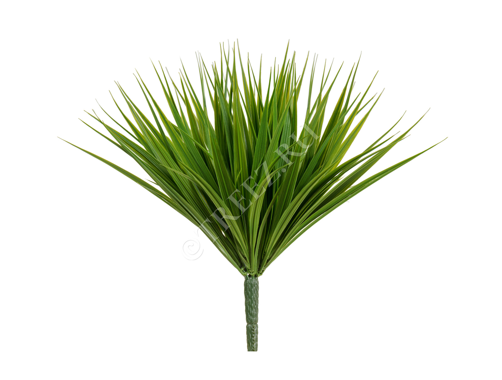 20.6332N Трава Литл Сворд куст зелёный микс Цветочная коллекция 