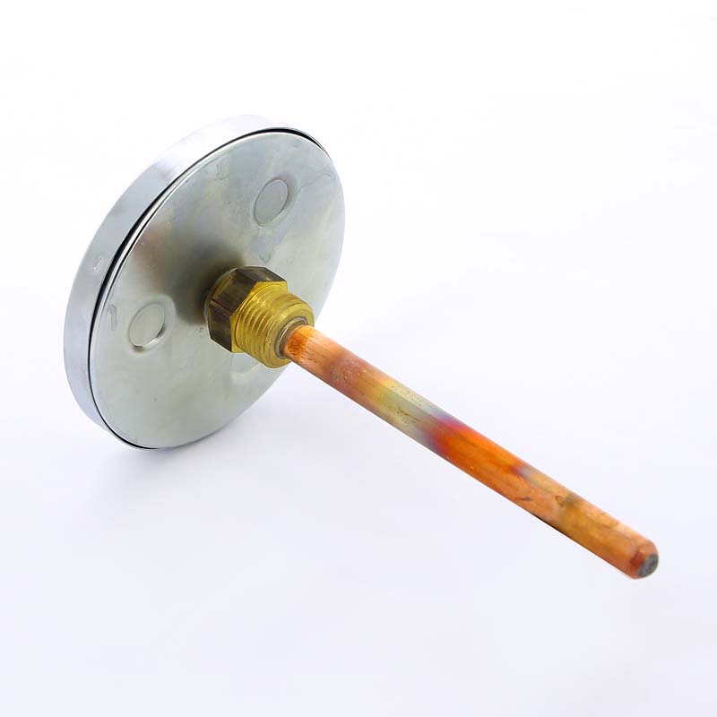 Термометр биметаллический F+R801 100мм с погружной гильзой WATTS Ind 120 град.C гильза 150мм 10006084 - Вид №2