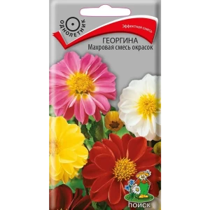 Семена Георгина «Махровая» смесь окрасок