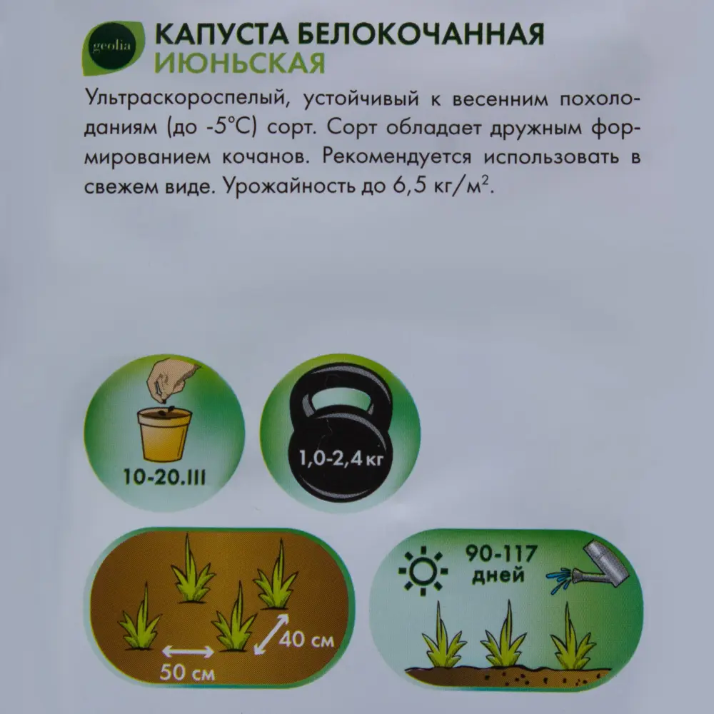 Семена капусты белокочанной GEOLIA Июньская - ранний урожай 17585404 STLM-0008374 - Вид №2