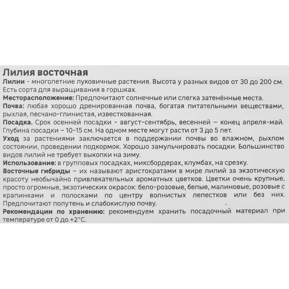 Лилия Geolia восточная Кобра 86408625 STLM-2103242  - Вид №3