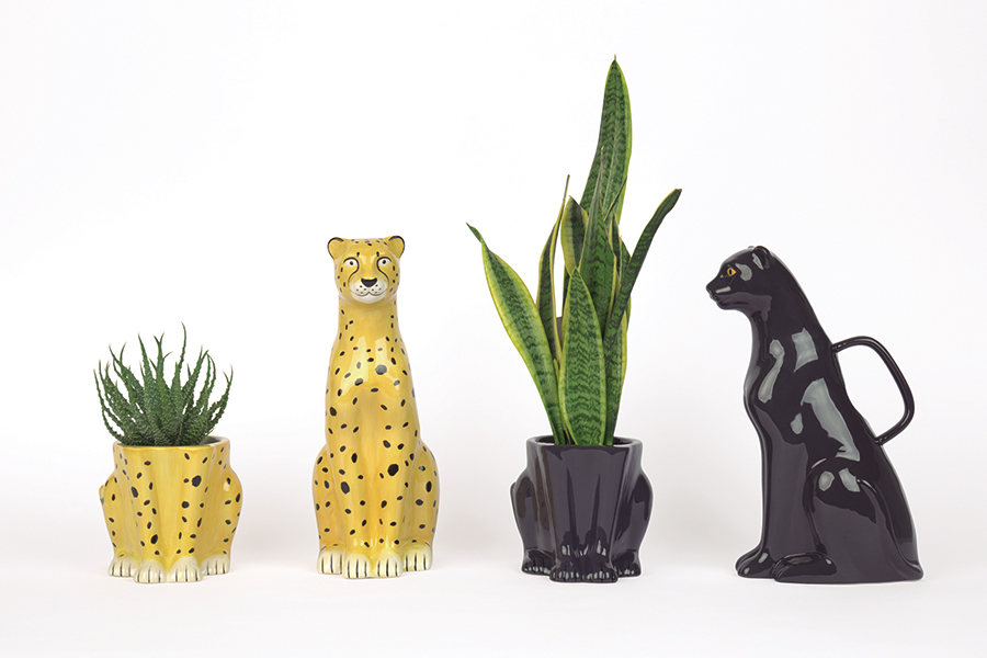 Лейка желто-черная керамическая Urban Jungle Cheetah DOIY  00-3871331 Желтый;черный  - Вид №4