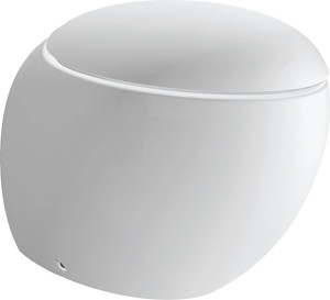 H8219714000001 Унитаз напольный, глубокое смывание, выпуск горизонтальный/вертикальный LAUFEN PRO