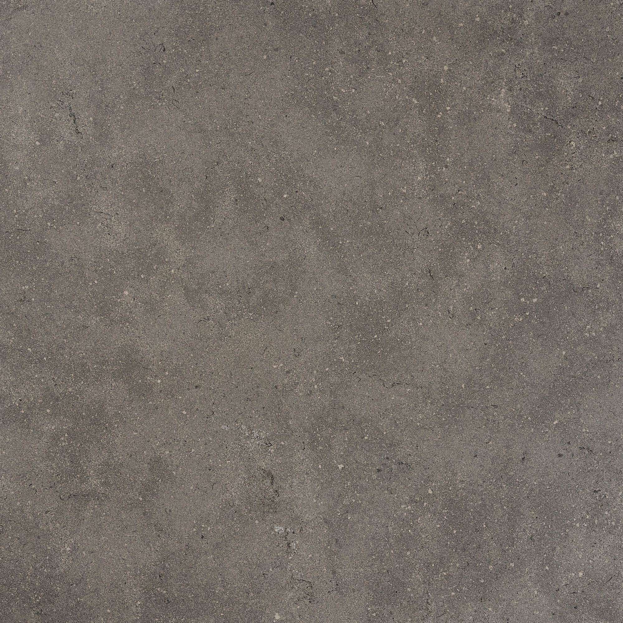 Керамогранит / напольное покрытие ARIOSTEA ELEMENTAE FULL BODY ARCH-00033684 - Вид №8