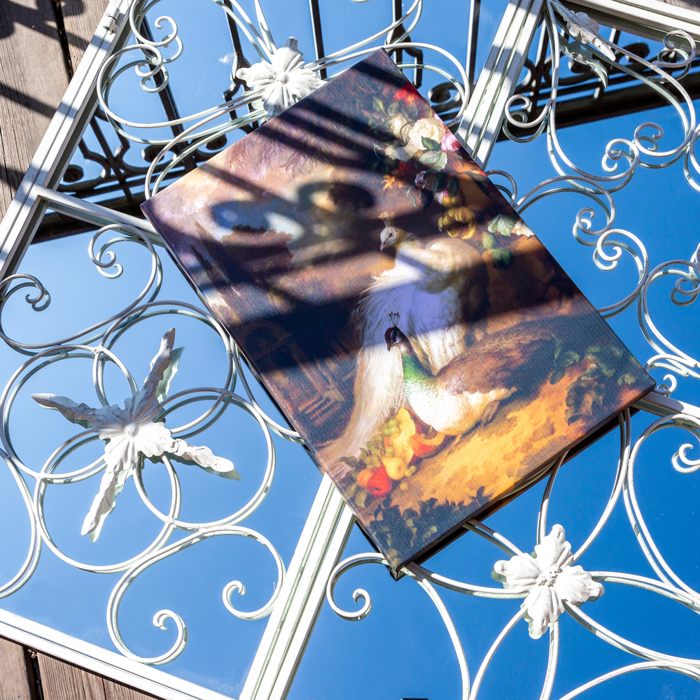 75080013 Картина «Королевский павлин», версия 1 (холст, галерейная натяжка) Object Desire  - Вид №2