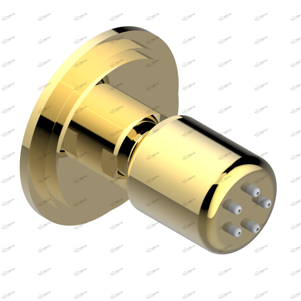 G2R-290/B Форсунка гидромассажная встраиваемая в стену 1/2" с защитой от жёсткой воды Thg-paris Frivole Покрытие PVD золотистый цвет G2R 290/B CAT.F