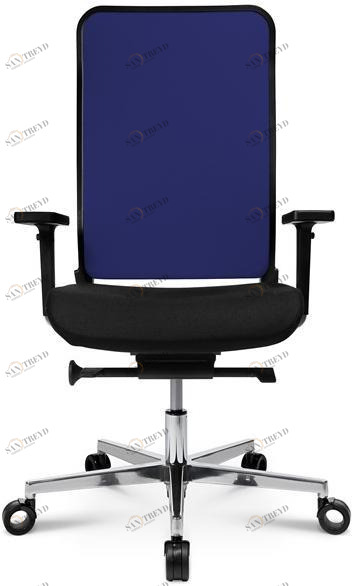 Wagner Стул для руководителя с регулируемой высотой W1c sun-id-1412437