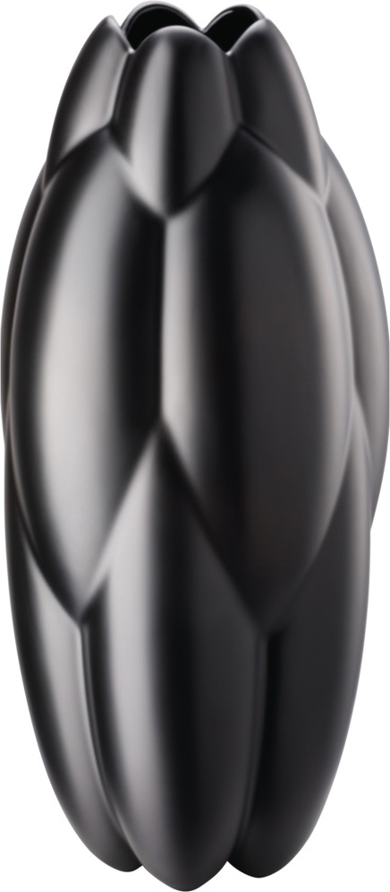 10640555 Rosenthal Ваза Rosenthal Суть 31см, фарфор, черная, матовая (Седрик Раго) Фарфор 