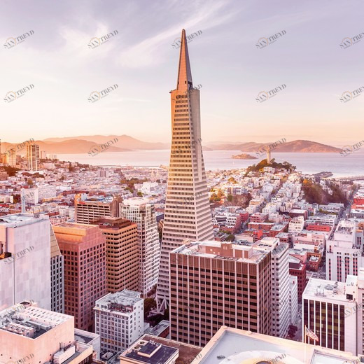 8-535-San-Francisco-Morning Фотообои Komar Vol.15 3.68х2.54 м 8535SANFRANCISCOMORNING