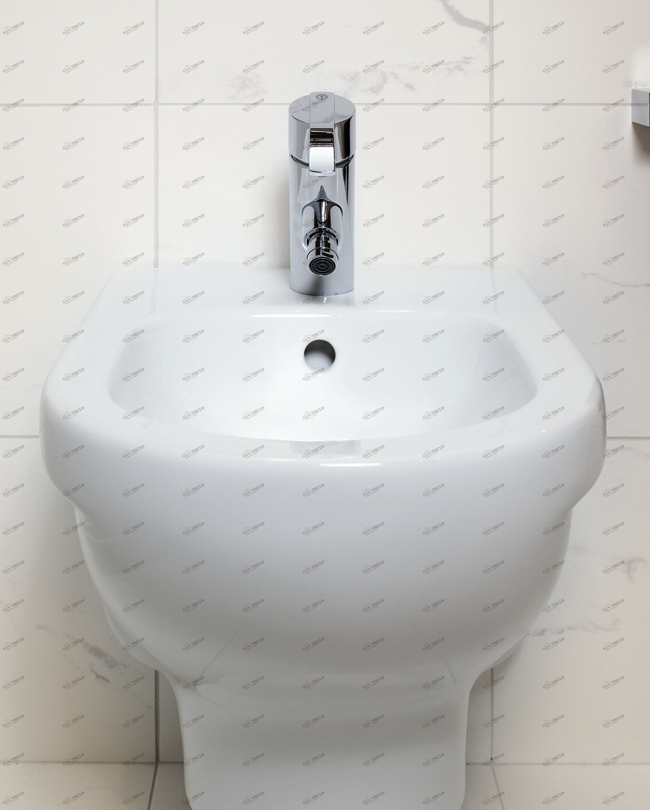 55999901 Биде напольное  Gustavsberg 