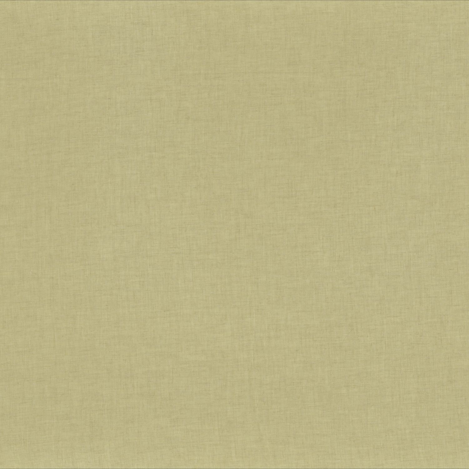 Моющаяся вуаль ткань для штор Casamance Kanso ARCH-00036990 - Вид №54