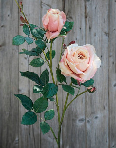 2543 553 a2 Шелковая роза, 1 цветок, 2 бутона, 110 см, абрикос H-andreas