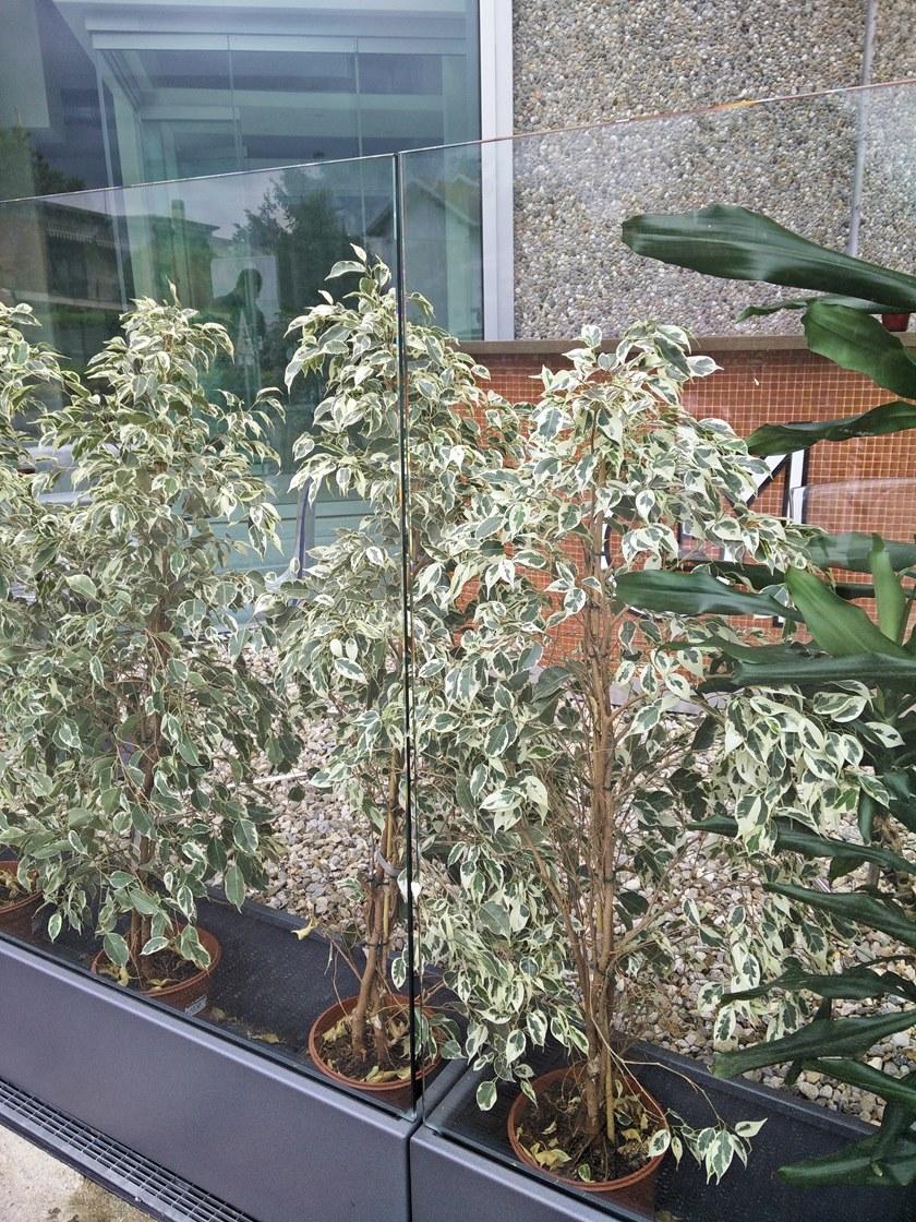 GM MORANDO Металлическая садовая перегородка Bellavista system sun-id-1496459 - Вид №4