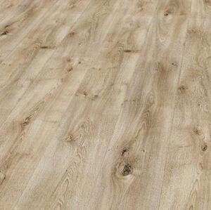 Ламинат Maestro Club Дуб Вива SU 03