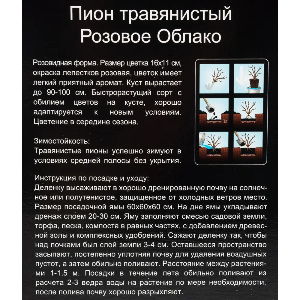Пион травянистый Розовое облако 13492948 STLM-2106115 Santreyd  - Вид №2