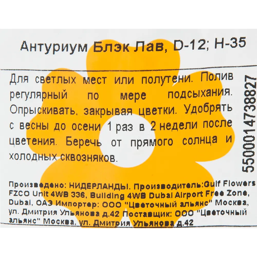 Santreyd Антуриум Блэк лав — изысканное тропическое растение с глянцевой листвой 84450765 STLM-0050227 - Вид №2