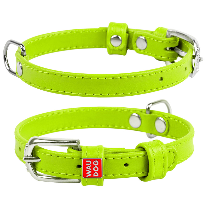 ПР0053774 Ошейник для собак Waudog Glamour без украшений (ширина 15мм, длина 27-36см) зелёный COLLAR  - Вид №1