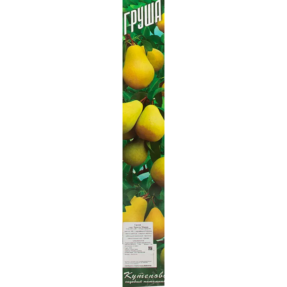 Груша Просто Мария 9x60 см 83539268 STLM-2030952 Santreyd 