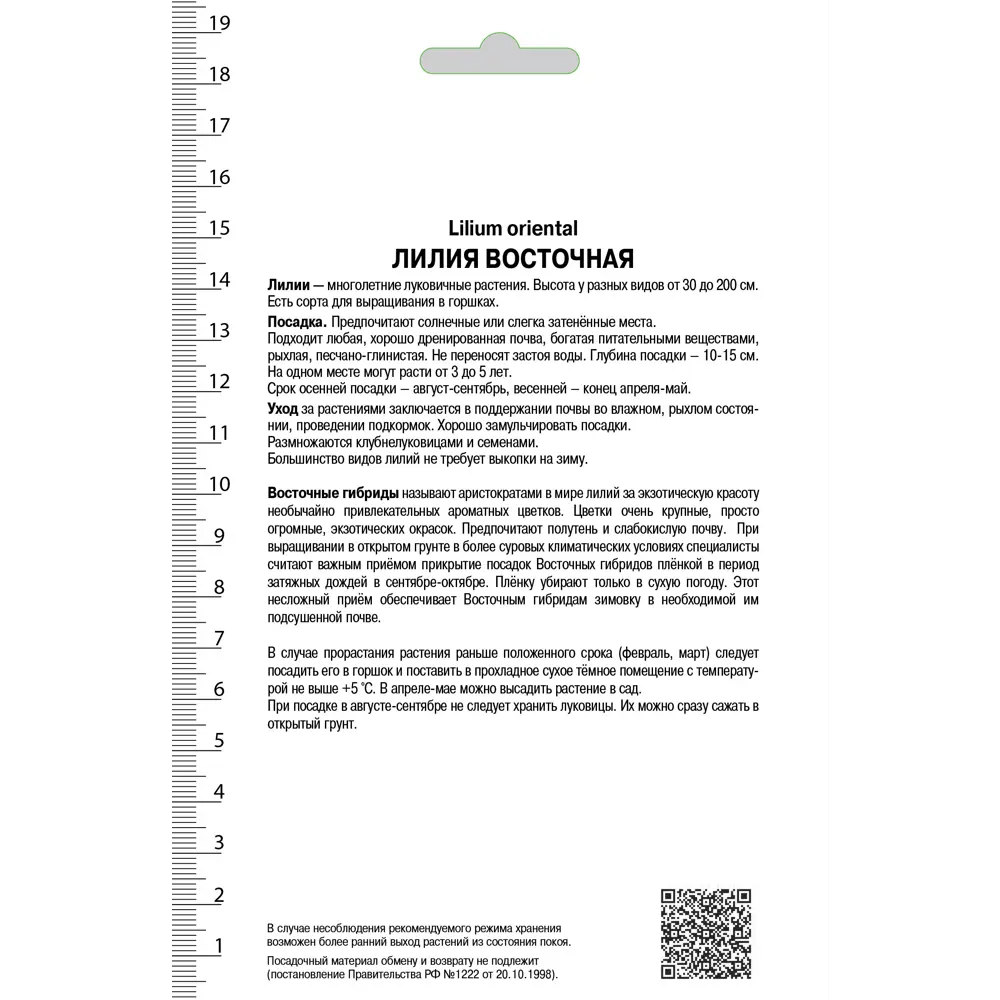 Лилии восточные «Барбадос», размер луковицы 14/16, 1 шт. 82118706 STLM-2010749 Santreyd  - Вид №1