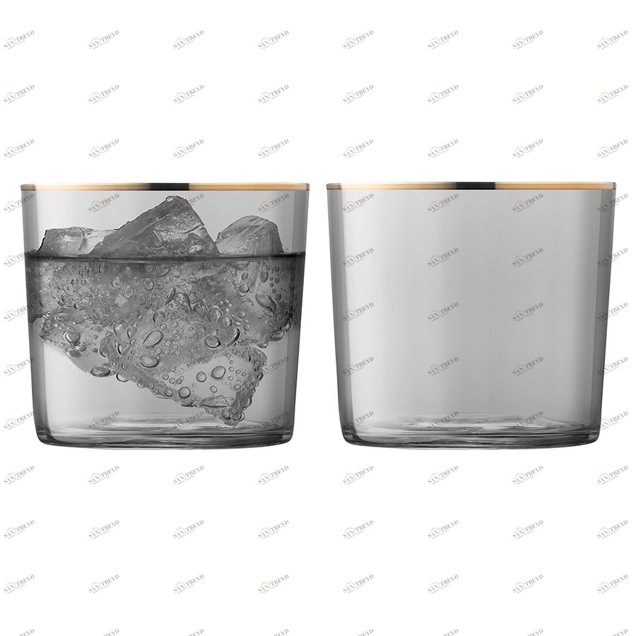 Набор из 2 стаканов Sorbet 310 мл серый LSA International G06009209