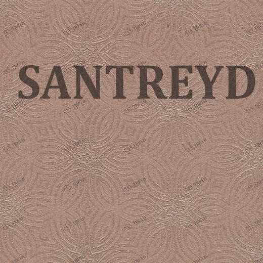 530551 Обои Rasch Berlin