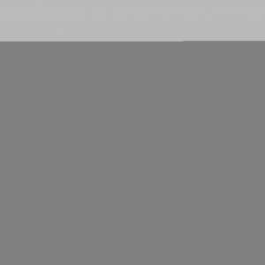 14508002030 Дверной упор черепаха Ø80x30 ммd line Knud Holscher