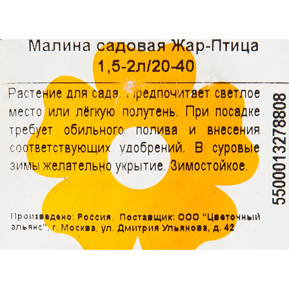 Малина садовая «Жар-птица» 1.5-2 л высота 20-40 см 82601698 STLM-2177635 Santreyd  - Вид №1