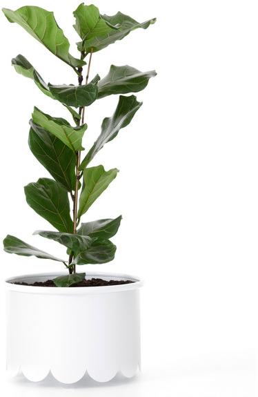 Nola Industrier Сеялка из стали с порошковым покрытием sun-id-1443759 - Вид №1