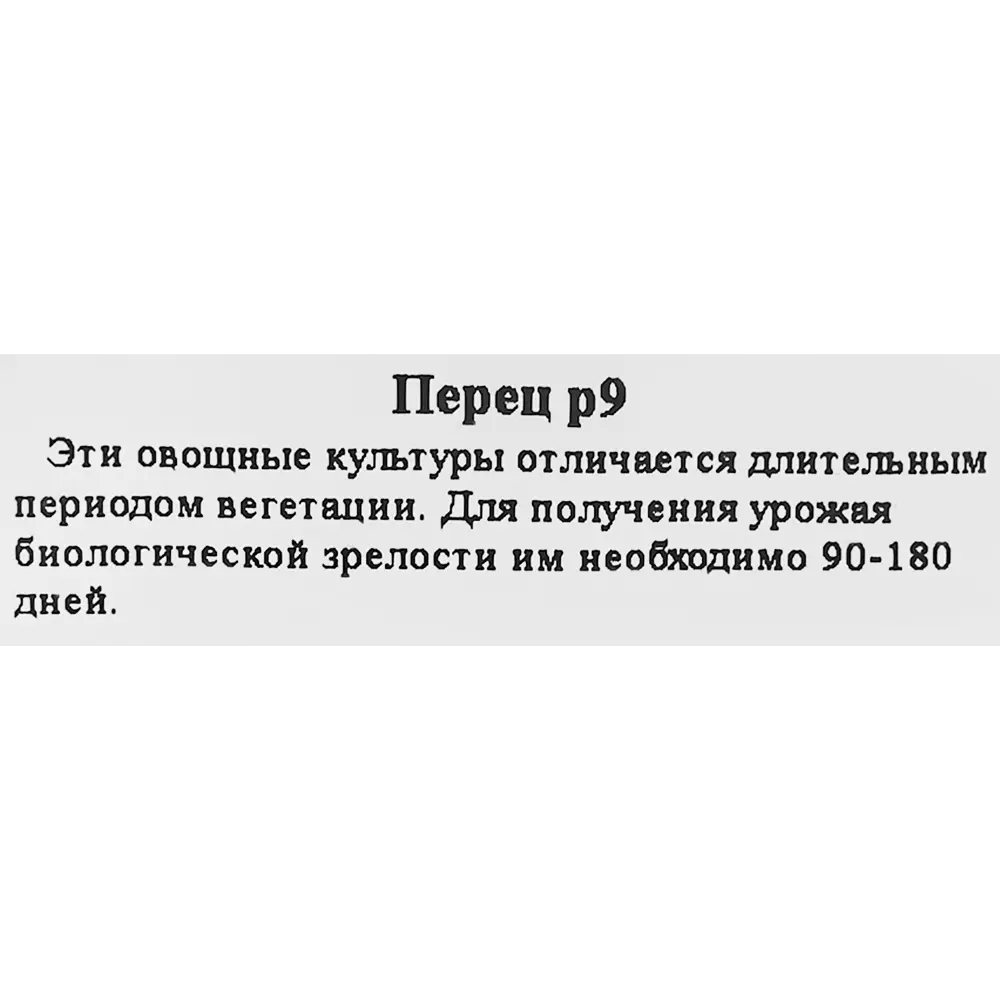 Рассада Перец ø9 h15 см 83248594 STLM-2010858 Santreyd  - Вид №1