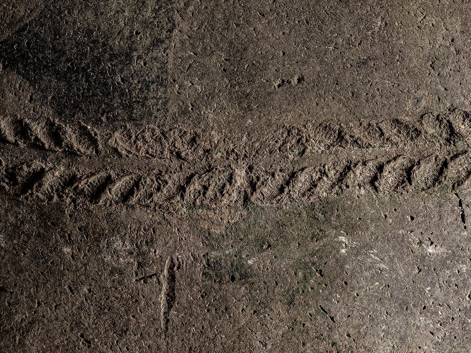 Круглый садовый горшок ручной работы из терракоты Vical Home COLMBERG ARCH-00091727 - Вид №2