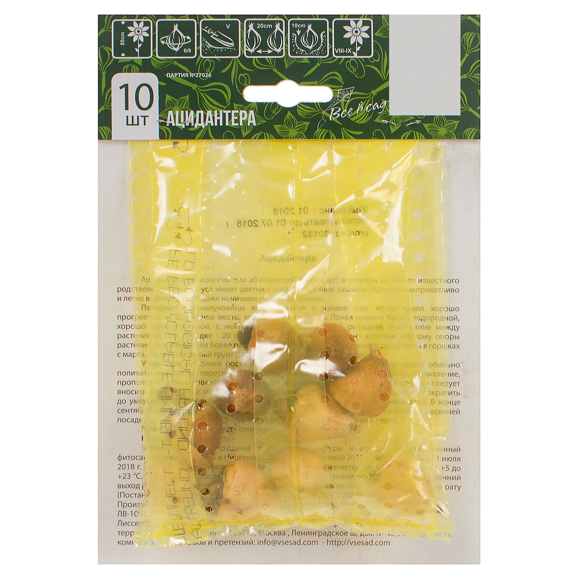 81946032 Ацидантера Santreyd  - Вид №1