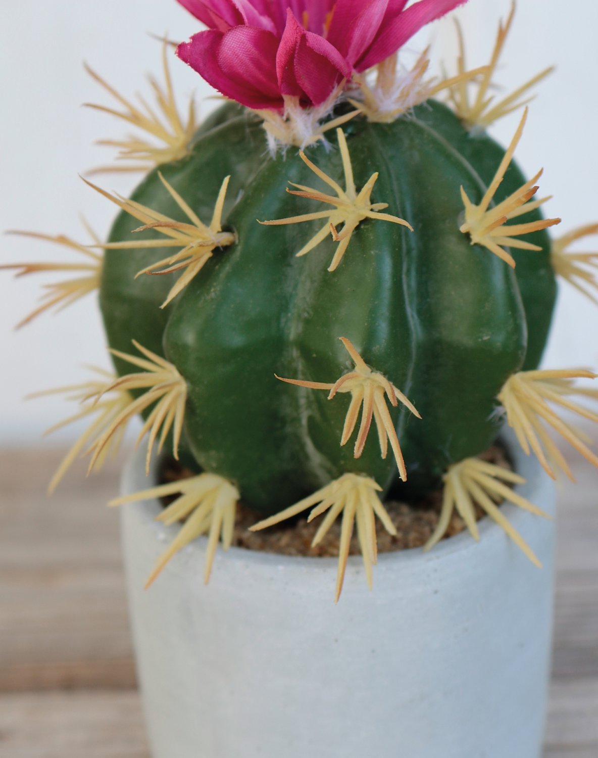 6068 883 a3 Пластиковые суккуленты-микс, в горшках, 3 шт., 10/14/17 см, зеленые H-andreas  - Вид №15