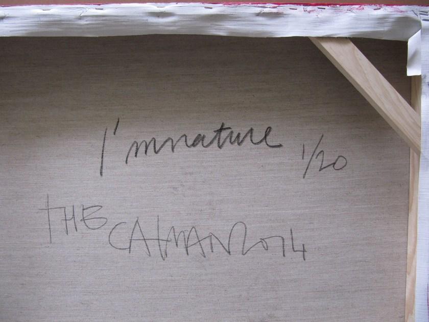 ICI ET LÀ Я акрил твоя ткань The catman Ac150-53 - Вид №1