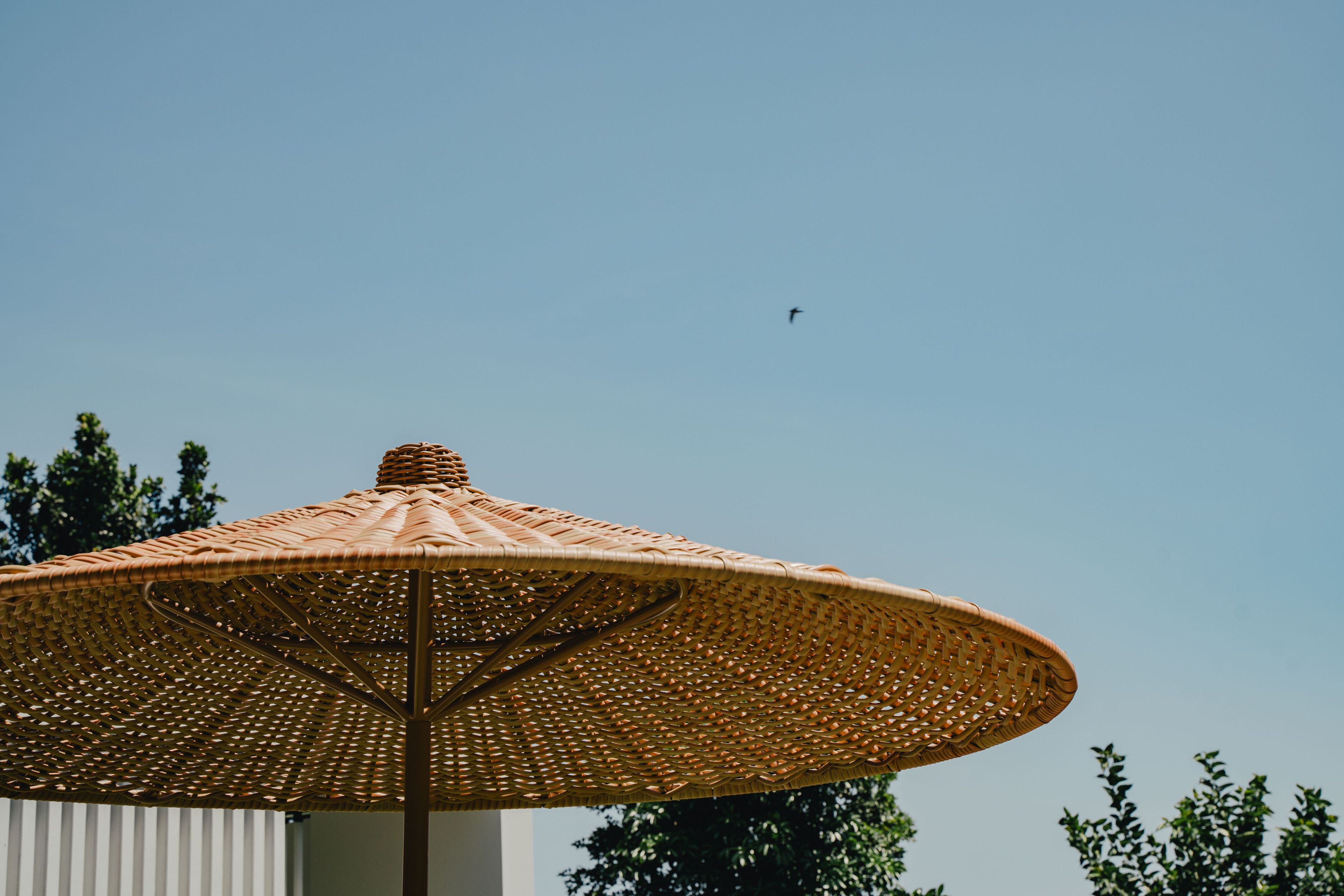 Круглый ТИК зонтик cbdesign Caribbean ARCH-00131546 - Вид №7