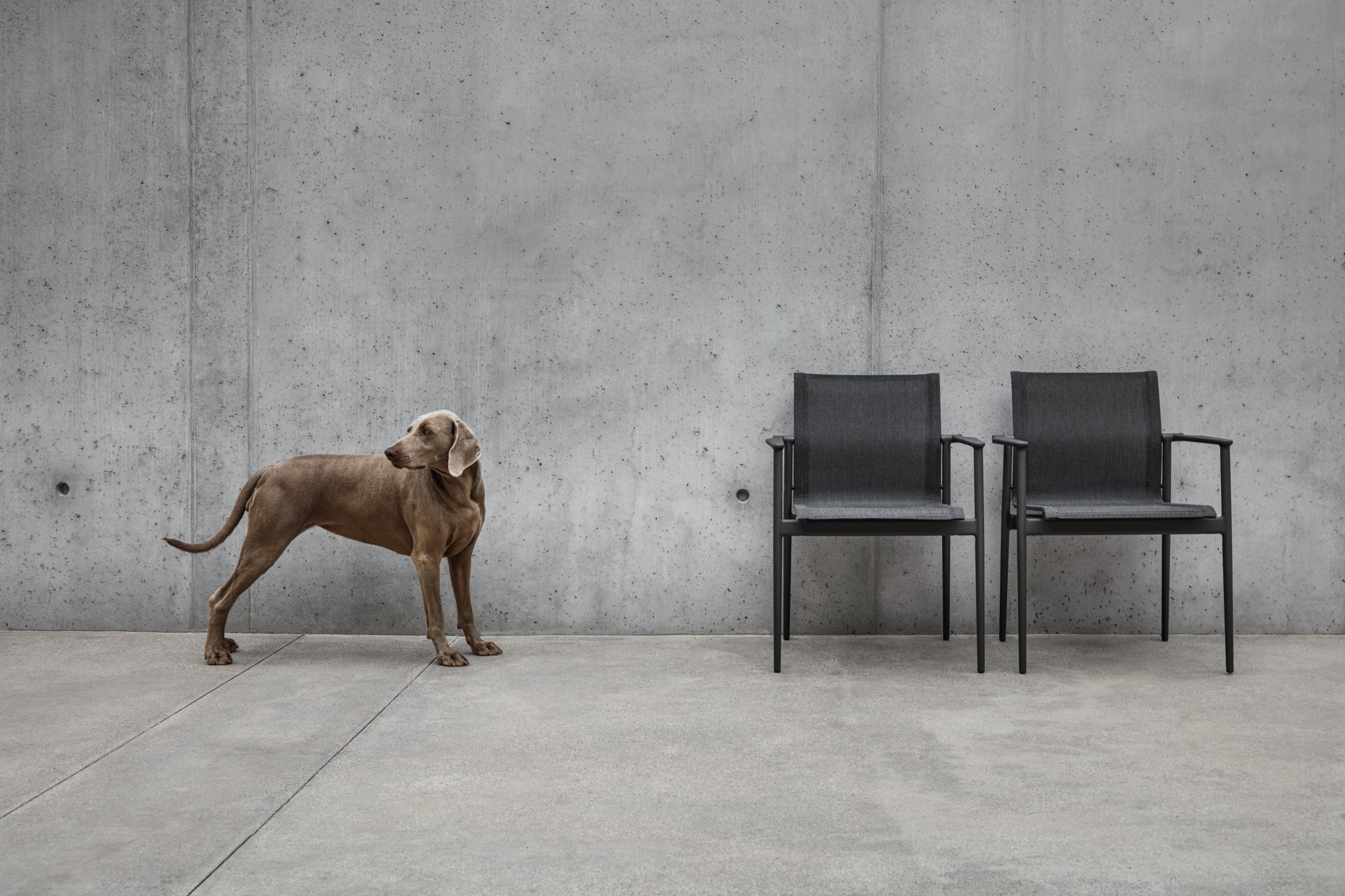 Тканевый штабелируемый садовый стул с подлокотниками Gloster 180 ARCH-00147016 - Вид №5