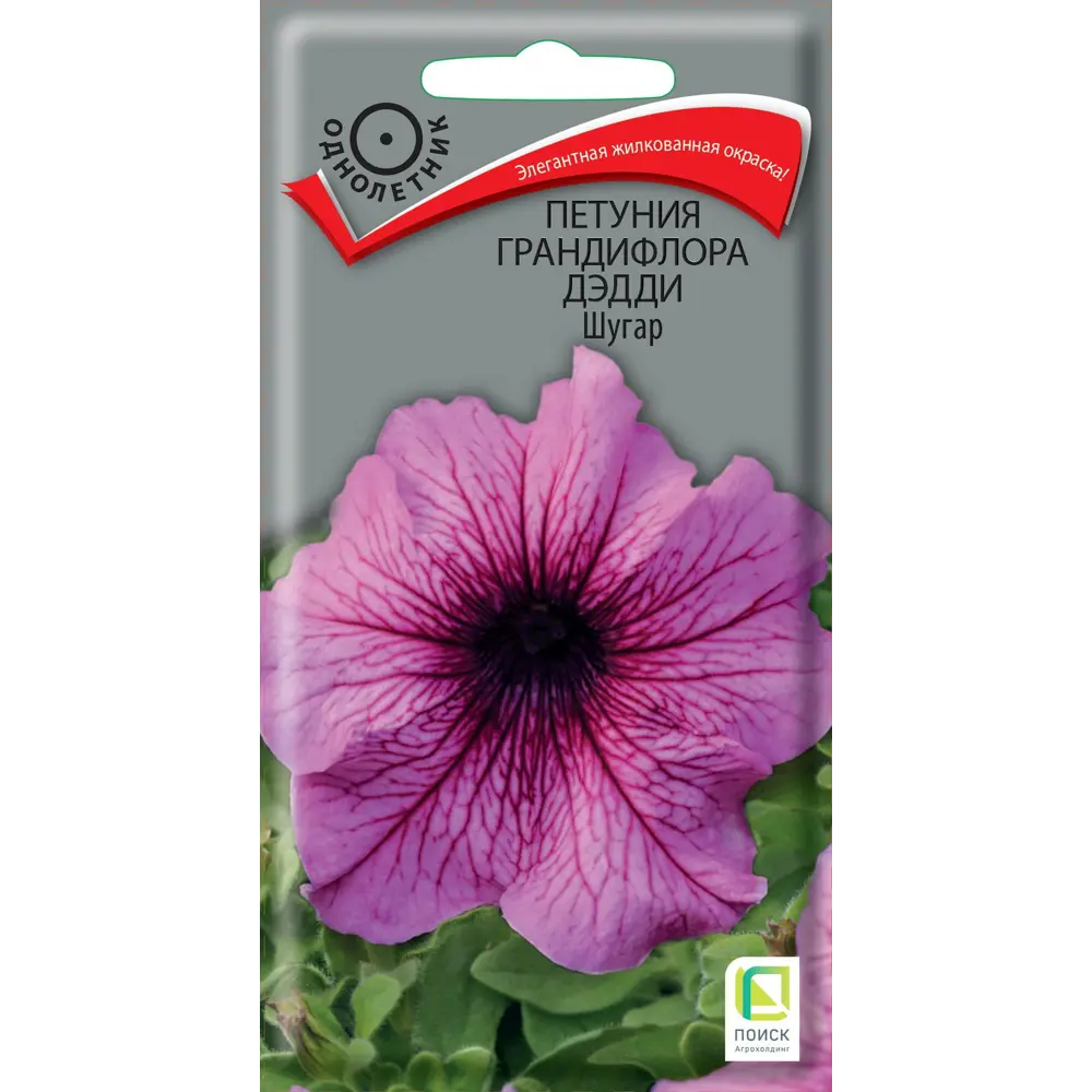 Петуния грандифлора Дэдди Шугар от ПОИСК - розовая с прожилками 86217985 STLM-1523914