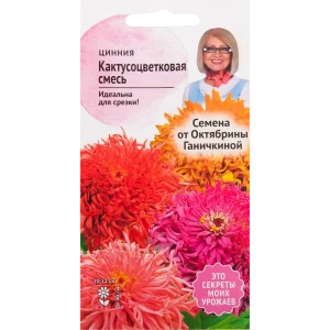 Цинния кактусоцветковая смесь окрасок 0.3 г 82481652 STLM-2038113