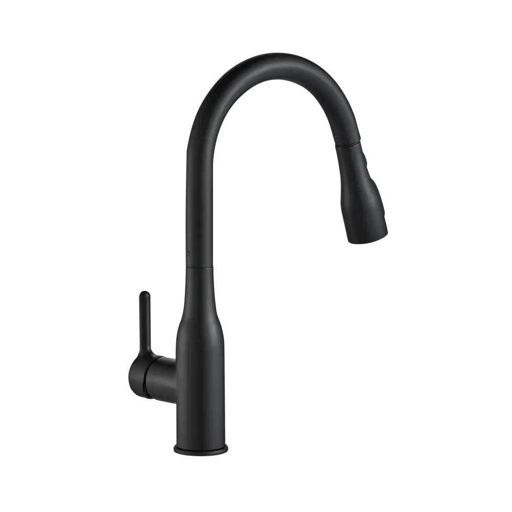 Кухонный смеситель DELINIA Fanny в матово-черном исполнении 84752045 STLM-0878106 - Вид №2