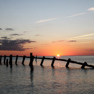 1328/CX38 Картина 0990 Adriani e Rossi