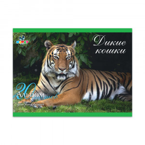 101035 Альбом для рисования "Дикие кошки" 100 г/м2 А4 21 х 29 см на скрепке 20 л. KNY 010103_5 KANZY